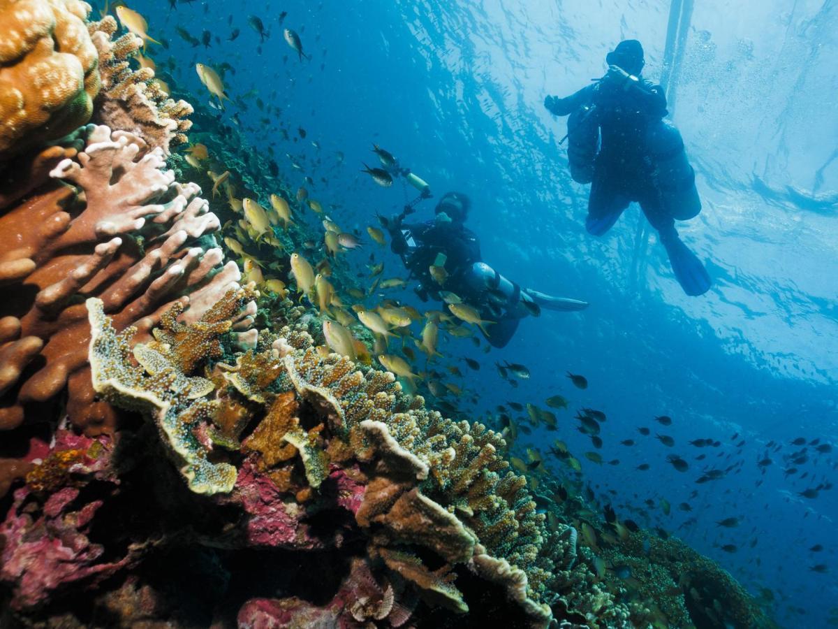 Cebu Seaview Dive Resort Moalboal Exteriér fotografie